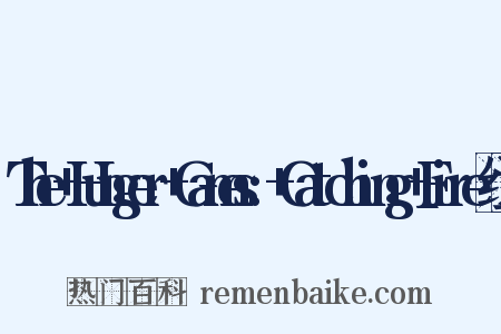 The+Hunger+Games:+Catching+Fire组词是什么意思的图片